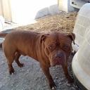 Brian Chinn - @lilbink83 - Twitter