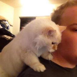 Extraxis's profile picture. 