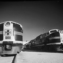 Franz Peters - @franzbass89 - Twitter