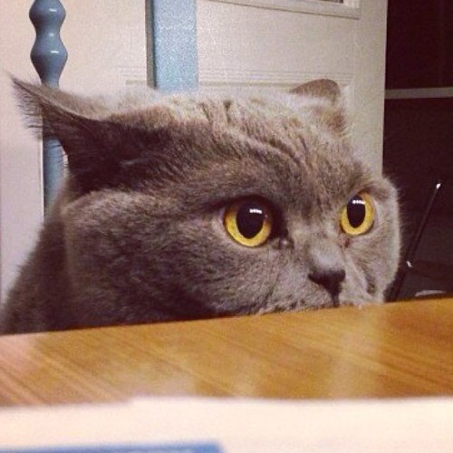 Leani7372's profile picture. 