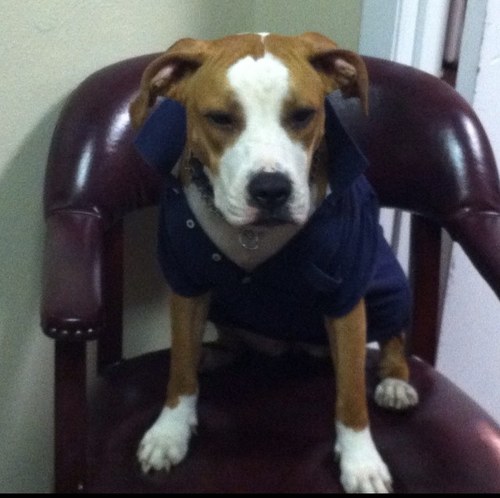 jperkins881's profile picture. 