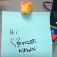 Princess Mango (@_princessmango) 's Twitter Profile
