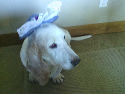 meganbarth09's profile picture. 