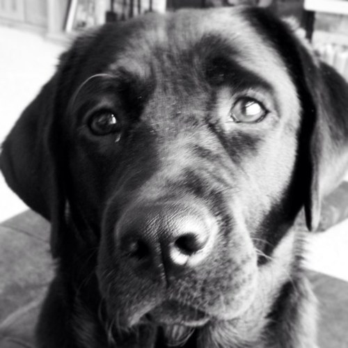 tech4ed's profile picture. 