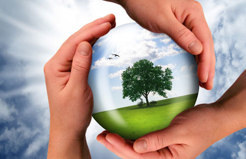 SustInfo's profile picture. Sustainability In Formation - Achieving sustainability through the sharing of information