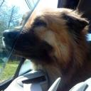 Anna Jacobi - @an1jacobi - Twitter