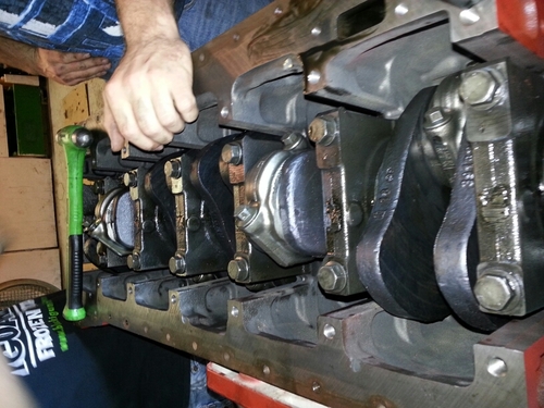 longan_294_daws's profile picture. 