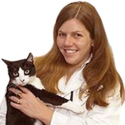 veterinarian, business owner, & mother