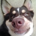 Jacob DeVries - @JacobDeVries8 - Twitter