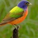 RODOLFO SANCHEZ G. - @COMANDANTE57 - Twitter