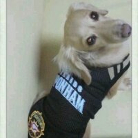 グロリオサ🇯🇵 (@gloriosa1220) 's Twitter Profile Photo
