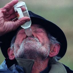 Aalkoholicar's profile picture. Alkoholicar, korisnik lakih narkotika, ekonomski i seksualno sjeban... Ono sto trezan misli, pijan ne moze ni da izgovori...