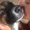 Melissa Thibeault - @MelissaThibeau1 - Twitter