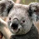 LeAnn Bauer - @LeAnn_Bauer - Twitter