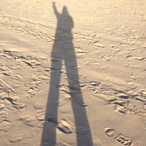 emilpie's profile picture. 