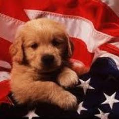 Ivy-league educated,Conservative,Catholic Happy wife of Marine Vet. Love Redskins. Real Housewives & Politics. Follow to the right. Back-up for Nyccookie  #TGDN