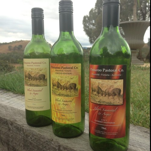 BeefFarmCo's profile picture. Angus Cattle. Three generations of beef production. https://t.co/6YrMR5P7VO