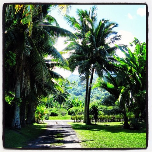 harmonyhutroad's profile picture. Sugar and alcohol free! Hashimoto's hypothyroidism. Paleo and (kicking it up a notch on a) lchf/Keto diet. Winning with bulletproof coffee 😊