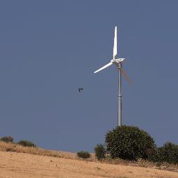 DougBloom2's profile picture. We love wind power and hybrid renewable energy systems.