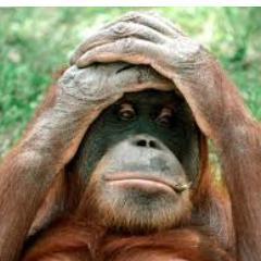 Nací en Borneo hace ya 10 años, crecí en Brasil y luego cambie de residencia cada mes. Soy un mono re mono y me gusta alegrar las twitcams.
