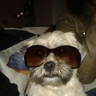 thijnvanderstap's profile picture. 