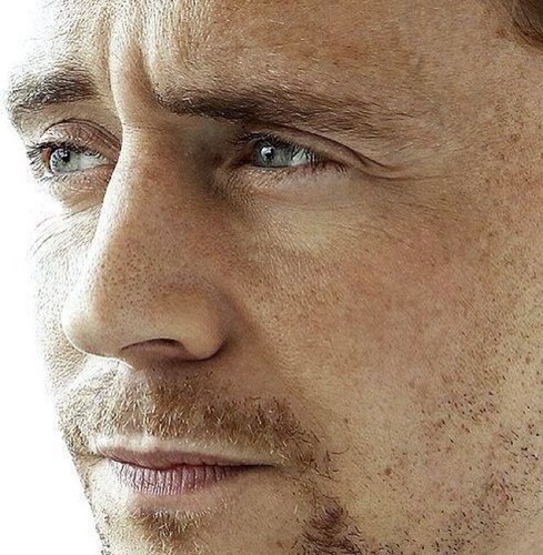 Wanted: Tom Hiddleston. Last seen: In a movie Armed with Glorious Purpose    Fan Account