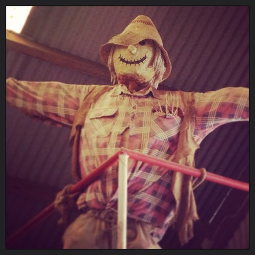 trickybaker's profile picture. 