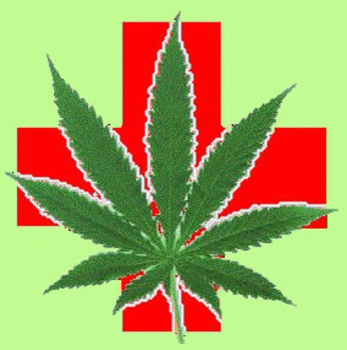 CallMeM00nMan's profile picture. I'm just trying to make the world a better place #legalizeIt #TeamFollowBack
