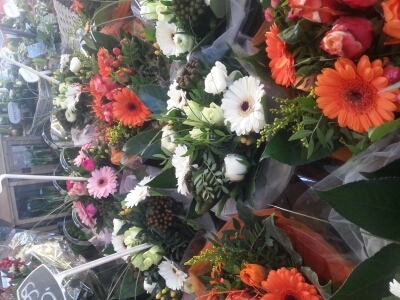 Sadaaff's profile picture. I stepped on a Cornflake, and now I am a cereal killer