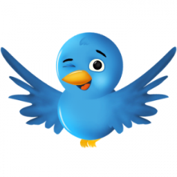 #TFB #TFBJP #FOLLOW #FOLLOWMEJP #TEAMFOLLOWBACK #AUTOFOLLOW #MUSTFOLLOW #INSTANTFOLLOW #SOUGOFOLLOW #ALLFOLLOWBACK #TEAMHITFOLLOW #HITFOLLOWTEAM #SHOUTOUT 100%