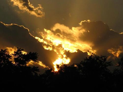 leonorcarriera's profile picture. La vida hay q vivirla, gozarla en compañía de tus seres amados y unos tequilas.