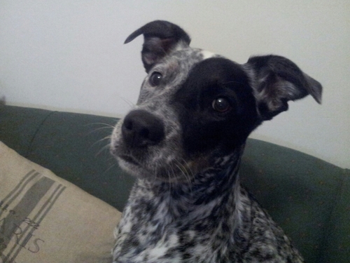 NovEmmaM's profile picture. 