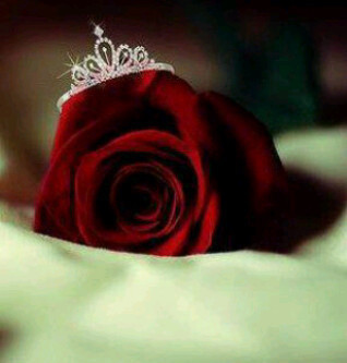 fouzzia23's profile picture. 