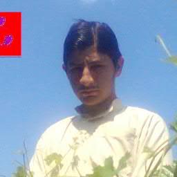 fUNy POetry JOKes GirlzZzZzZ Number And My number 03159841129