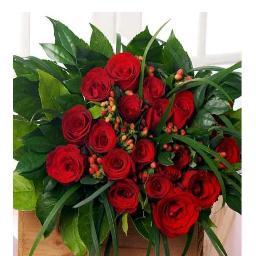 سنا  الفوايد