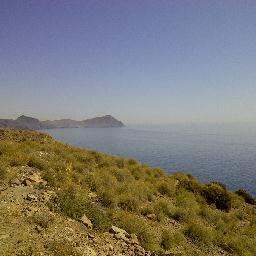 jpastorcruz's profile picture. 