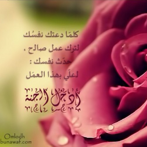 سترحلون يوماً .. وسيبقى ما تخطه أيديكم .. وما تضعونه من صور ومقاطع .. فتخيروا ما يقربكم إلى ربكم .. وما يجري عليكم من حسنات..