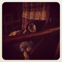 Kathy Justice - @sltljn - Twitter