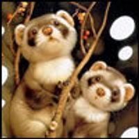 cywiloda (@cywiloda) 's Twitter Profile