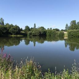 FranceFishing's profile picture. 2 #gites with #private #fishing #lakes, in Western #France.  Gites de #Peche, #Secondigny.  Open all year.