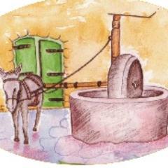 CretanOliveOilF's profile picture. Cretan Olive Oil Farm is a place where you can explore the unknown side of Crete and its products.