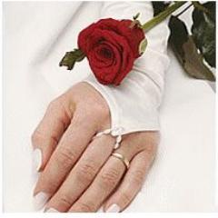 Wedding_Ring_D's profile picture. An ultimate collection of wedding rings and gold rings made by Wedding Ring Direct