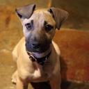 Jackson Tang - @jax_tang - Twitter