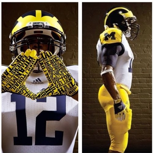 Michigan Recruits