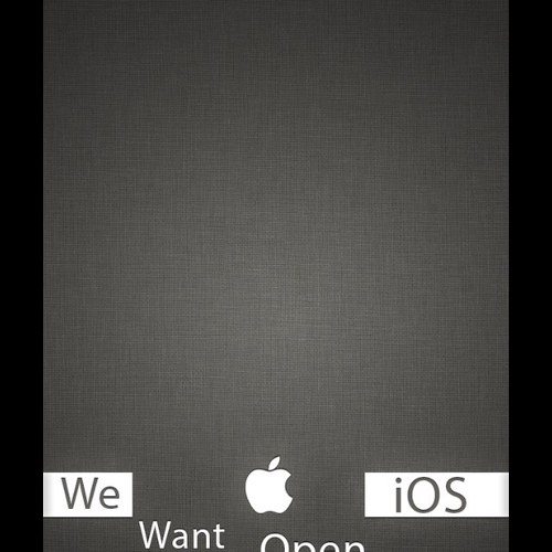 liran17172's profile picture. 