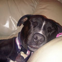 Alan Outen - @SNIPEfreaky - Twitter