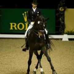 Info on World Equestrian Games in Normandy France 2014. Will have a dressage bias.