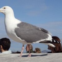 maria vargas (@meve1030) 's Twitter Profile