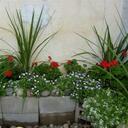 karin mccormick - @Flashmccrash - Twitter