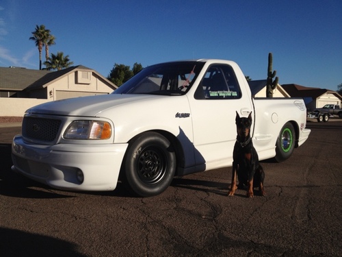 Doberman owner and lover. AZ Coyotes fan